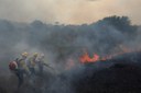 Reforço de 149 brigadistas chega a Manaus na tarde deste domingo (15)