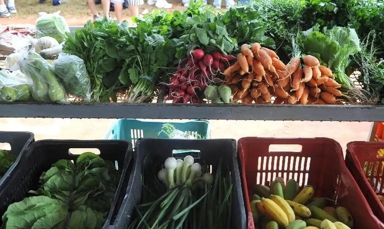 Conab: clima e troca de safras influenciam em alta de preços de frutas e hortaliças
