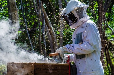 Codevasf participa em Brasília (DF) de evento nacional na área da apicultura