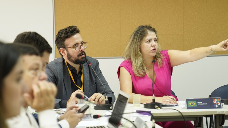 Comissões da RAADH abordam promoção dos direitos humanos no bloco sul-americano