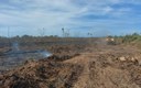 Fogo no Parque Nacional do Monte Pascoal: combate às chamas ganha apoio aéreo