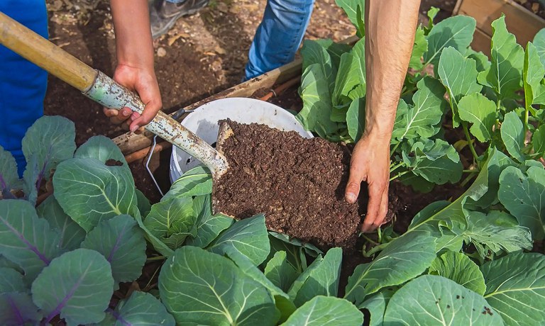 Governo Federal anuncia retomada do Programa ECOFORTE e instalação da Comissão Nacional de Agroecologia e Produção Orgânica