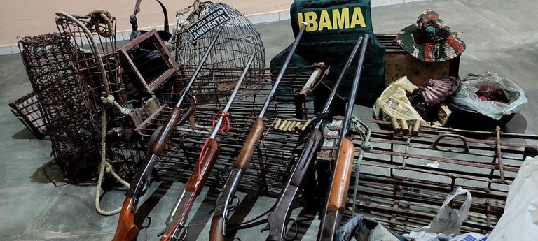 Ibama apreende aves silvestres e armas, no Ceará