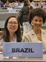 Ibama participa da 5ª Conferência das Partes da Convenção de Minamata