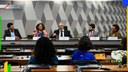 MJSP debate cotas no serviço público, em encontro no Senado Federal