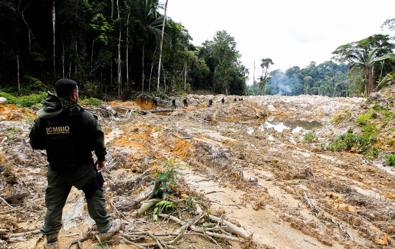 Reforço do ICMBio contribui para redução de 62% do desmatamento em unidades de conservação na Amazônia