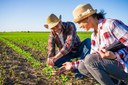 Agricultura familiar  de RR inicia entrega de 540,7 toneladas de alimentos pelo PAA/CDS