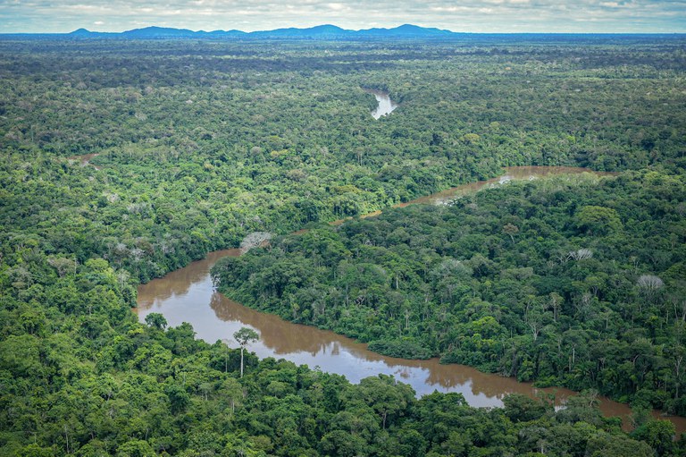 Taxa de desmatamento na Amazônia cai 22,3% em 2023