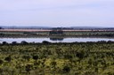 AGU garante bloqueio de R$ 15,5 milhões de desmatadores do Cerrado