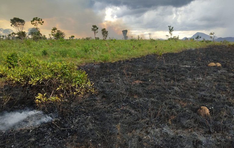 Chapada dos Veadeiros inicia temporada de prevenção a incêndios florestais