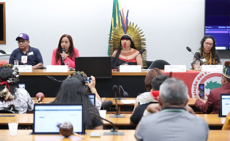 Criação de uma universidade e políticas educacionais indígenas são debatidas na Câmara dos Deputados