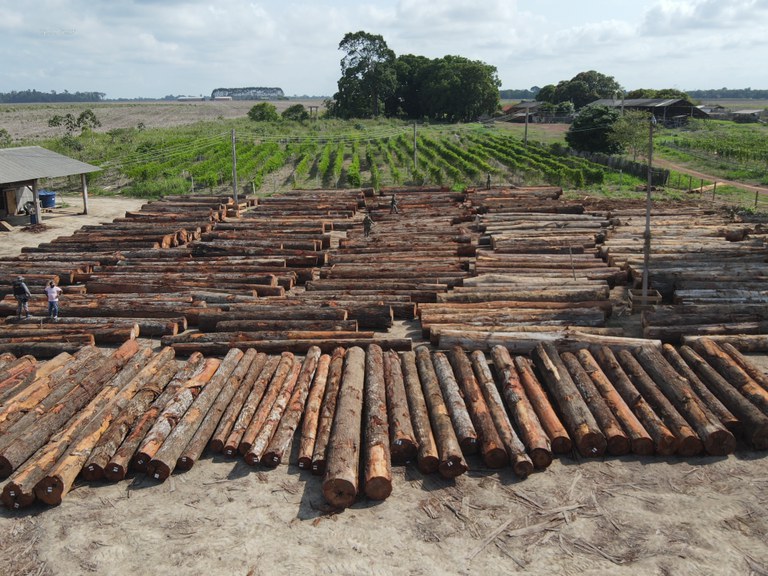 Ibama apreende madeira em municípios do Pará