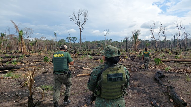 Ibama combate queimadas e desmatamento em Autazes (AM)