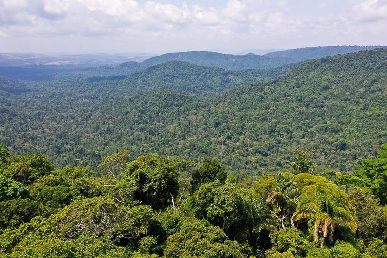Países com grandes reservas florestais exaltam trabalho do Brasil na conservação ambiental