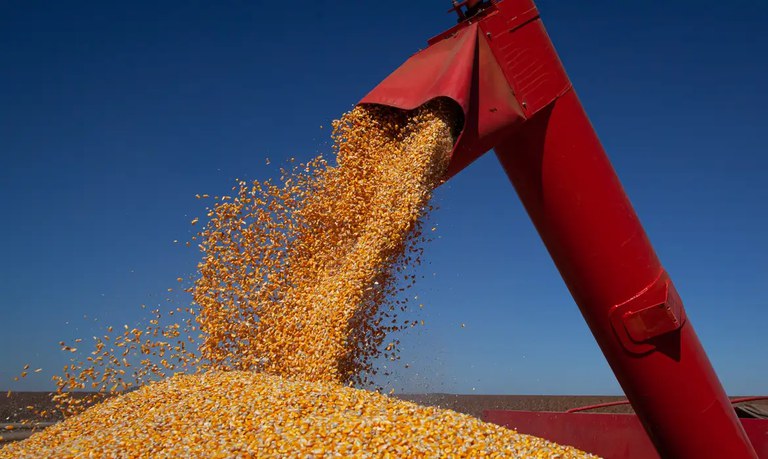Produção de grãos na safra 2023/24 deve atingir 312,3 milhões de toneladas influenciada por clima