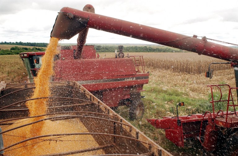 Produção de grãos na safra 2023/24 deve atingir 312,3 milhões de toneladas influenciada por clima
