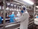 Singapura aprova pré-listagem para importação de proteína animal do Brasil Singapura aprova pré-listagem para importação de proteína animal do Brasil