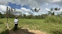 Tecnologias para o manejo florestal são apresentadas na COP28