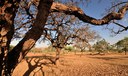 ANA lança estudo sobre impactos da mudança climática em quatro regiões do Brasil