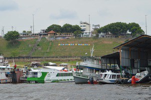 Bacia do Amazonas: maioria dos rios monitorados estão em processo de enchente