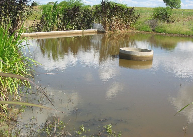Barragens subterrâneas geraram renda excedente de mais de R$ 7 mil anuais a agricultores