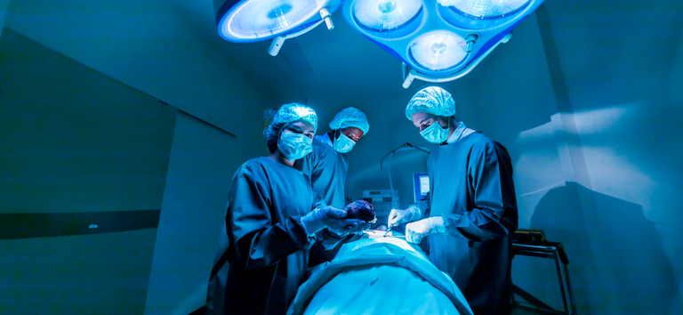 Brasil registra maior número de transplantes de órgãos em dez anos