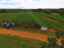 Estratégias agroecológicas garantem produção de alimentos saudáveis e resistência às adversidades climáticas