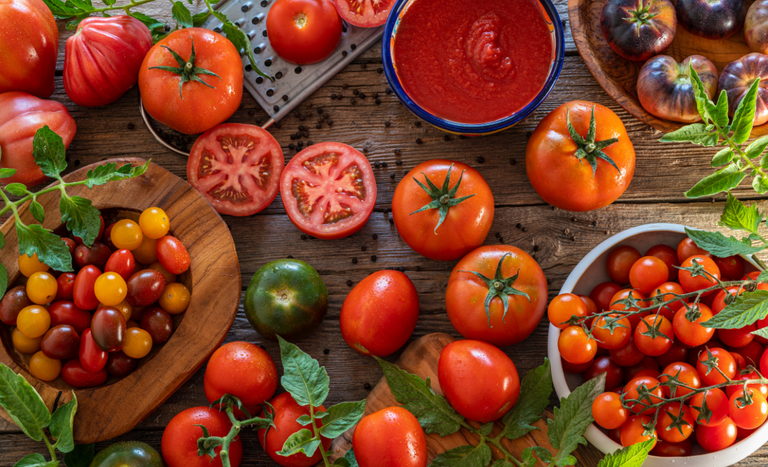 Investimento do Mapa em tecnologia desenvolve novas variedades de tomate