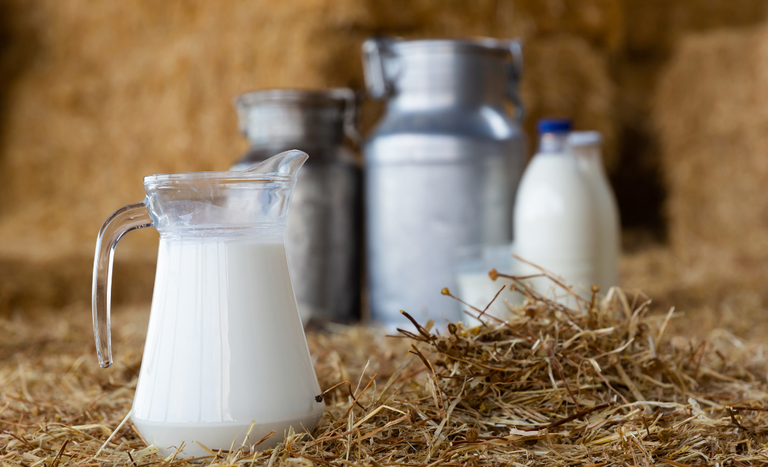 Governo Federal cria linha de financiamento para fortalecer o setor leiteiro