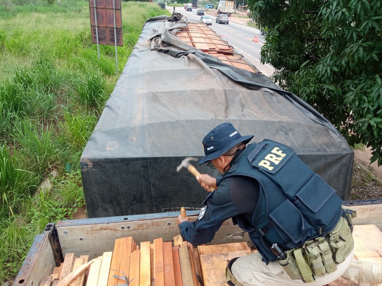 PRF apreende 313 m³ de madeira ilegal em operação de combate a crimes ambientais no Pará