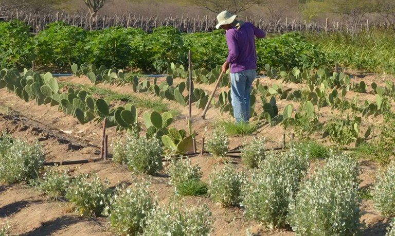 Quilombolas de Costa Marques (RO) passam a ser beneficiários da reforma agrária
