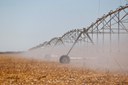 Saiba como receber incentivos fiscais para produção agrícola irrigada