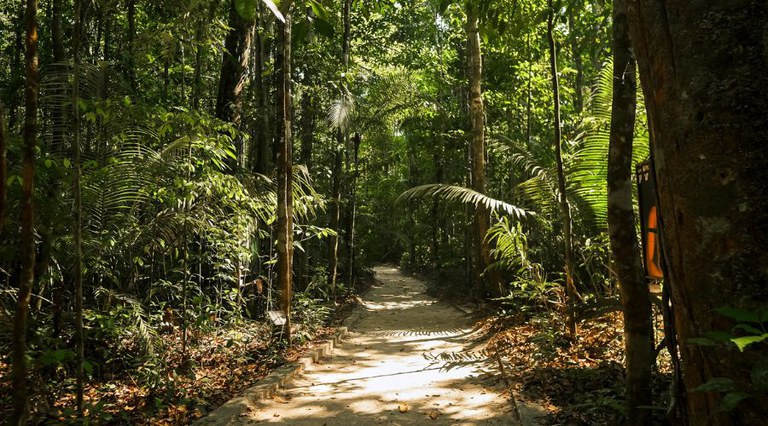 Amazônia brasileira e sustentabilidade no turismo são destaques no jornal norte-americano The Wall Street Journal