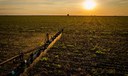 Brasil registra volume recorde na importação de fertilizantes no mês de janeiro