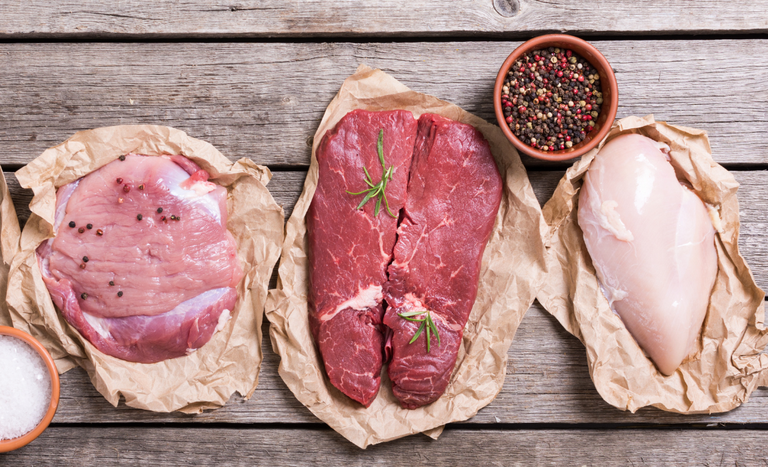 Brasil e Egito fortalecem relações comerciais para exportação de carnes com facilitações