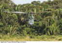 Conheça os procedimentos de interceptação de aeronaves na Terra Indígena Yanomami