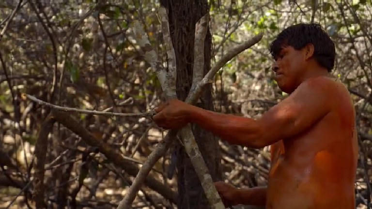 Documentário mostra como indígenas extraem sal da planta de aguapé