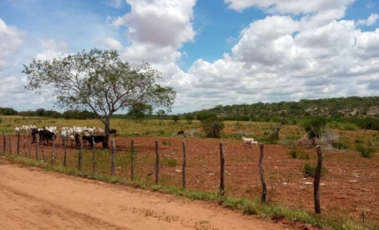 Dois assentamentos são criados na Bahia para beneficiários da reforma agrária