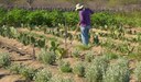 Evento discute obtenção de terras para destinação à reforma agrária