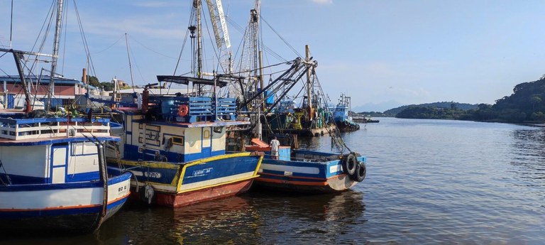 Governo Federal trabalha para atender condições de exportação de pescado para União Europeia