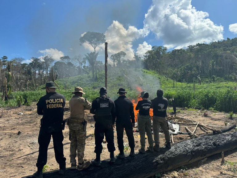 PF deflagra operação contra crimes ambientais em reserva extrativista de Rondônia