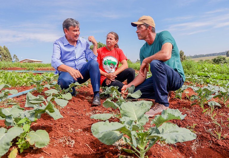 Da horta ao prato: assentamento no Paraná garante melhoria de vida à comunidade