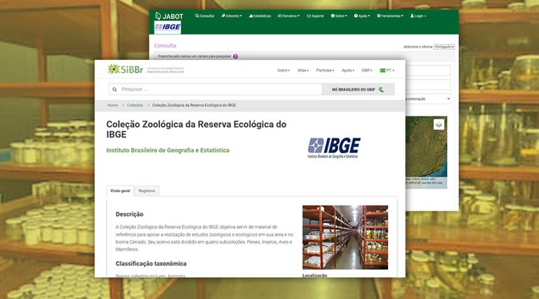 IBGE lança site que reúne coleções de amostras de animais e plantas