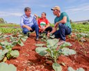 MDS anuncia parceria para incluir 2.500 famílias no Programa Fomento Rural