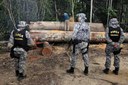 Ações de combate ao desmatamento e apoio à segurança no RJ são prorrogadas pelo MJSP Ações de combate ao desmatamento e apoio à segurança no RJ são prorrogadas pelo MJSP
