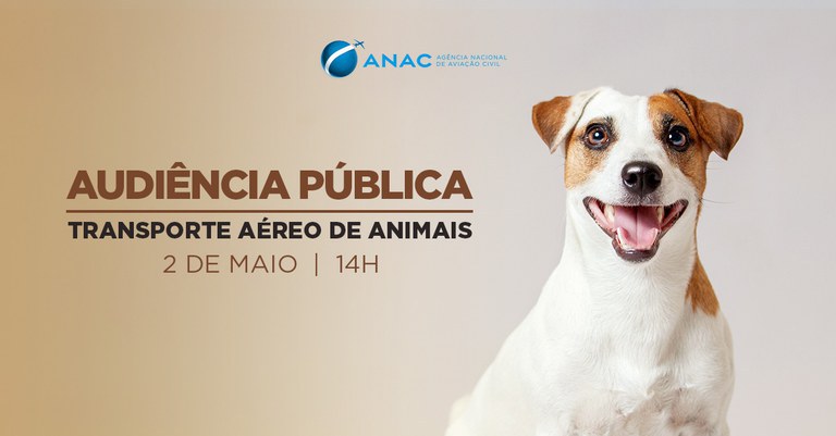 Anac realizará consulta e audiência públicas sobre transporte aéreo de animais