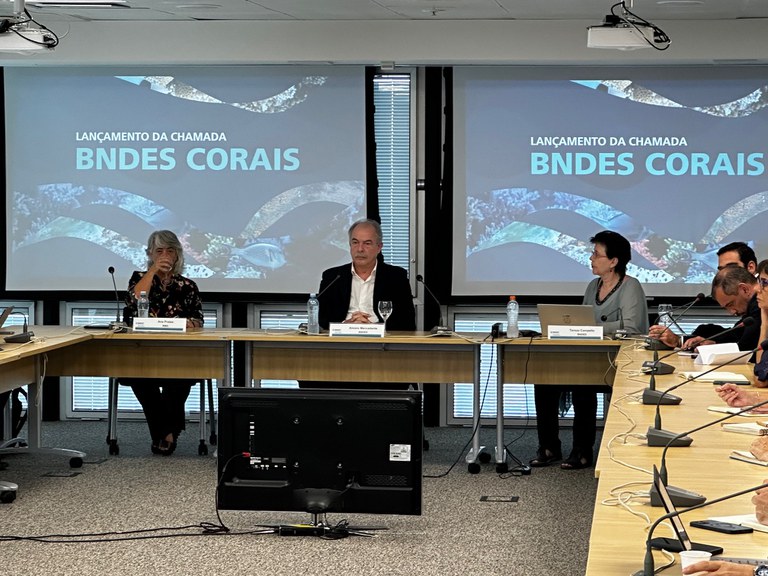 BNDES lança chamada permanente para projetos de preservação de corais