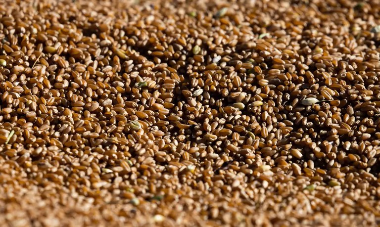 Com R$ 40 milhões do BNDES, cooperativa modernizará armazenagem de grãos