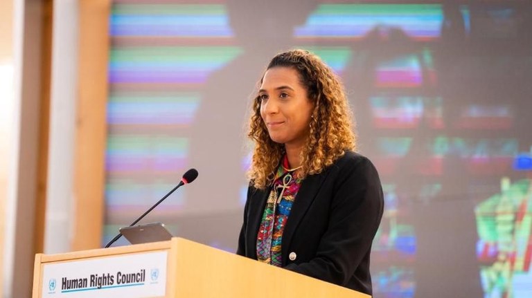Ministra da Igualdade Racial intensifica agenda brasileira em fórum da ONU