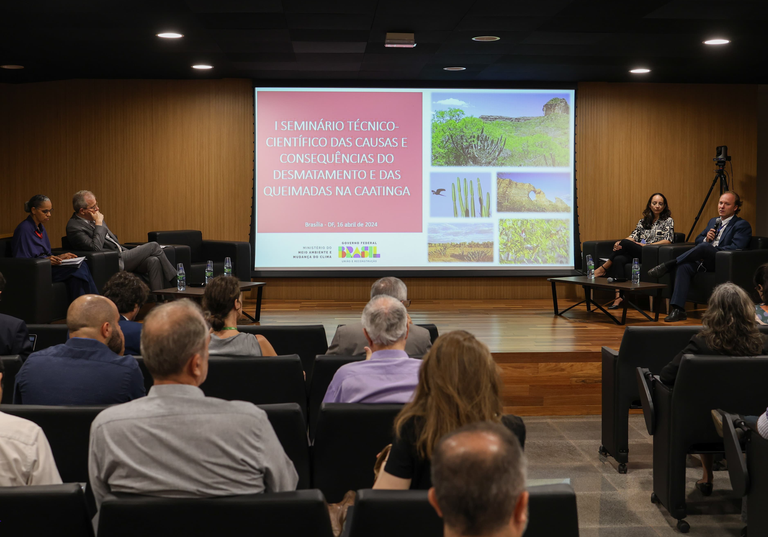 Seminário debate plano de combate ao desmatamento e queimadas na Caatinga